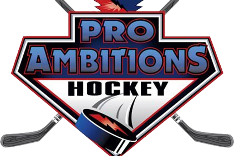 ProAmb-Logo-Flat-Colors - Conway Arena